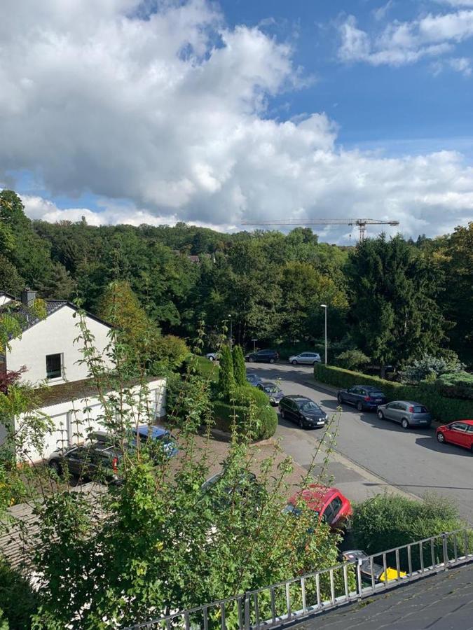 Wohnung mit einer Sauna direkt am Park Wiesbaden Exterior foto