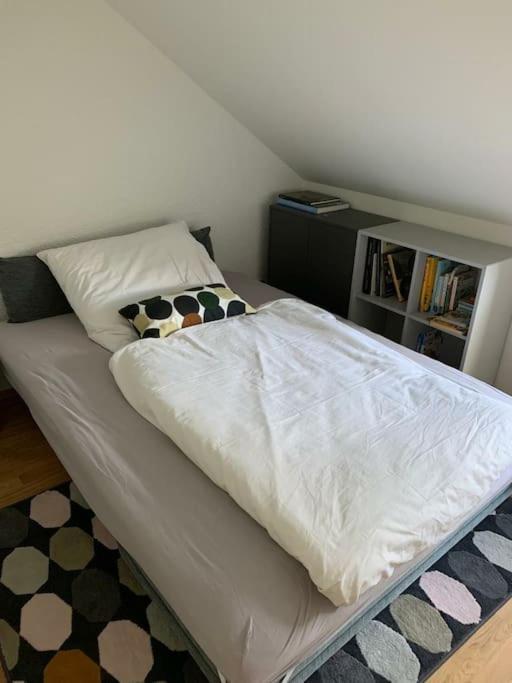 Wohnung mit einer Sauna direkt am Park Wiesbaden Exterior foto